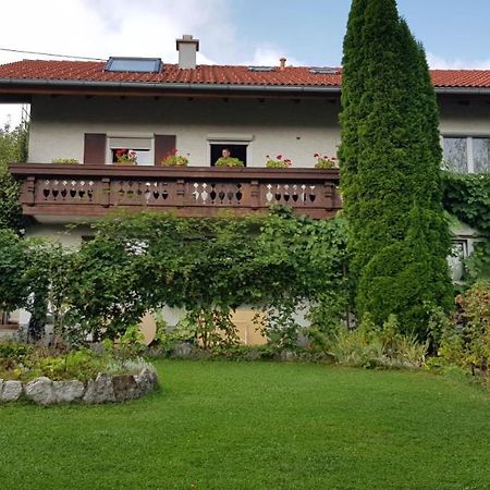 Ferienwohnung Bosch Seeg Esterno foto