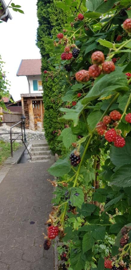 Ferienwohnung Bosch Seeg Esterno foto